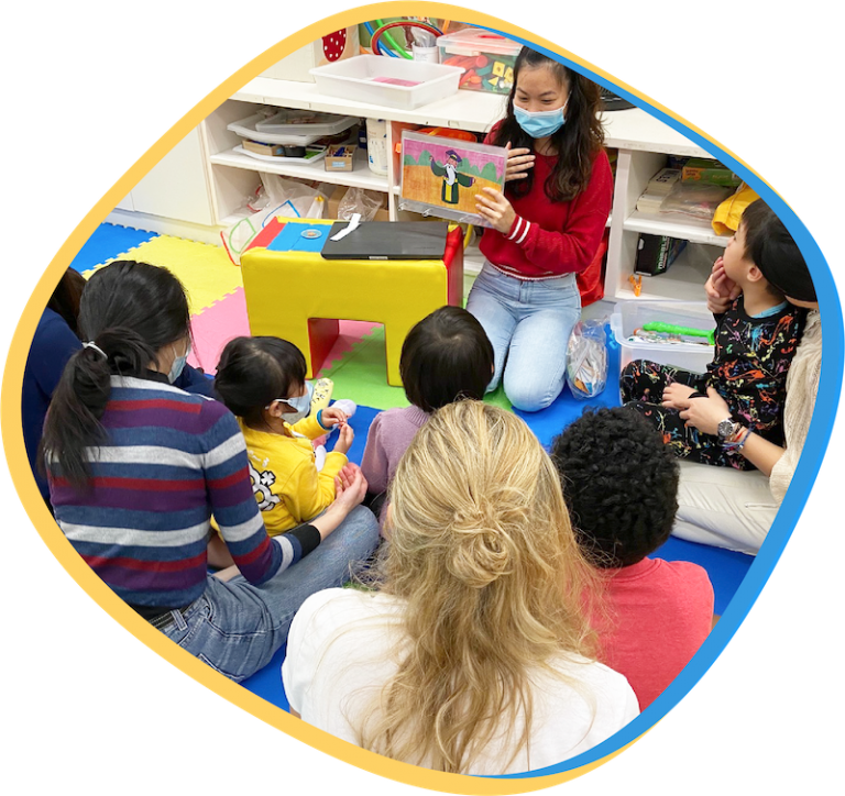 Programmes Bridge Academy